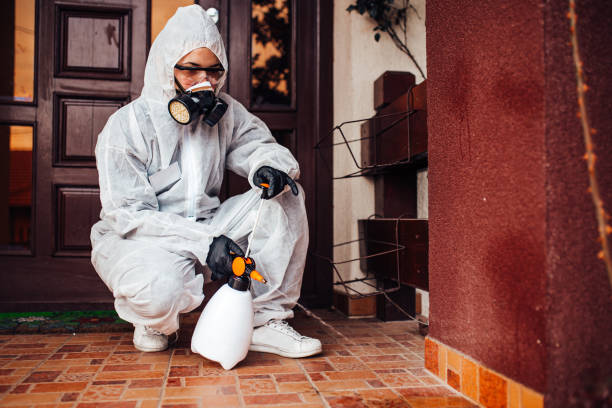 Reliable Cockroach Control contractor in Ashdown, AR by Nex Pest Control